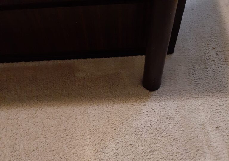 after carpet cleaning