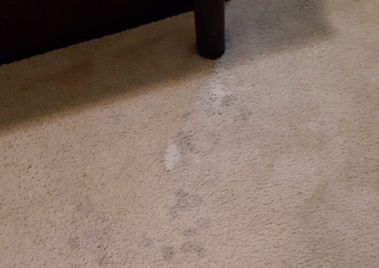 before carpet cleaning