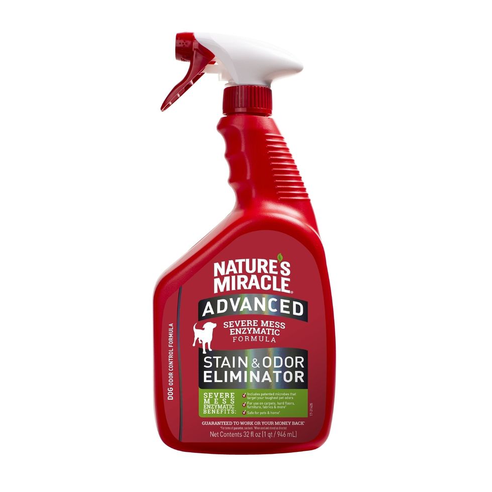 Cleaning products pet stain removal