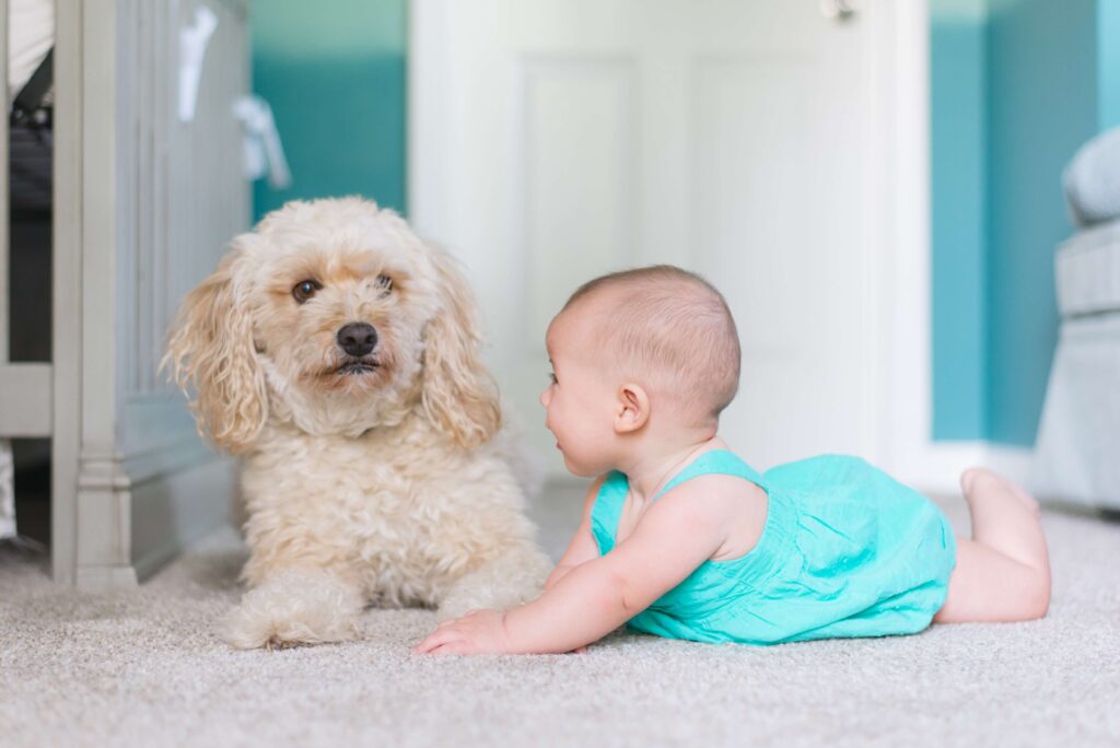 Smooth Carpet Cleaning Suitable for kids