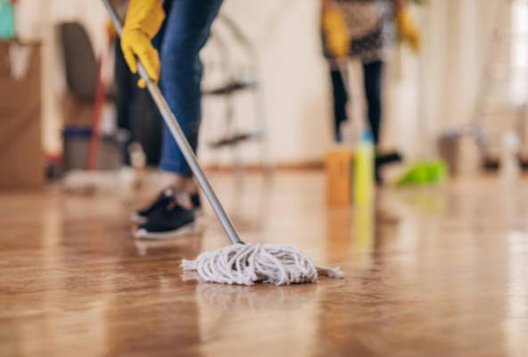 Professional Home cleaning