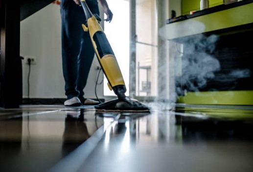 Steamer Cleaning Products