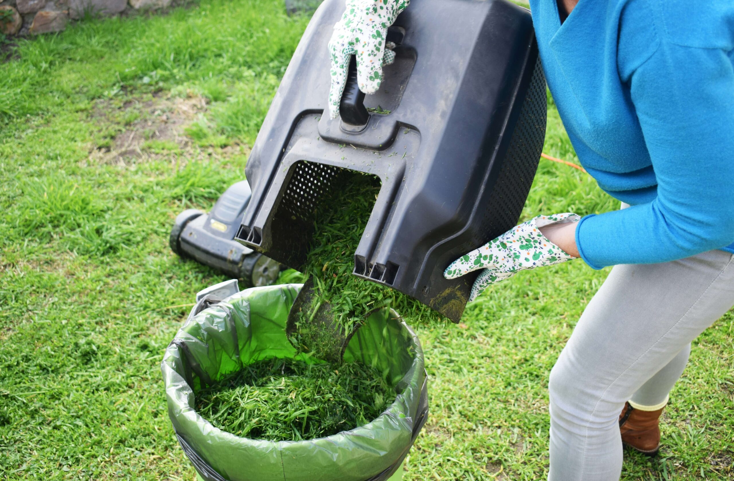 Green cleaning service